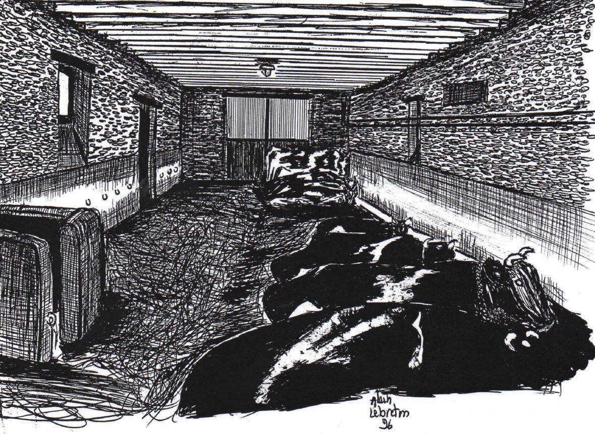 La Borde Pléchâtel  1996 etable vaches