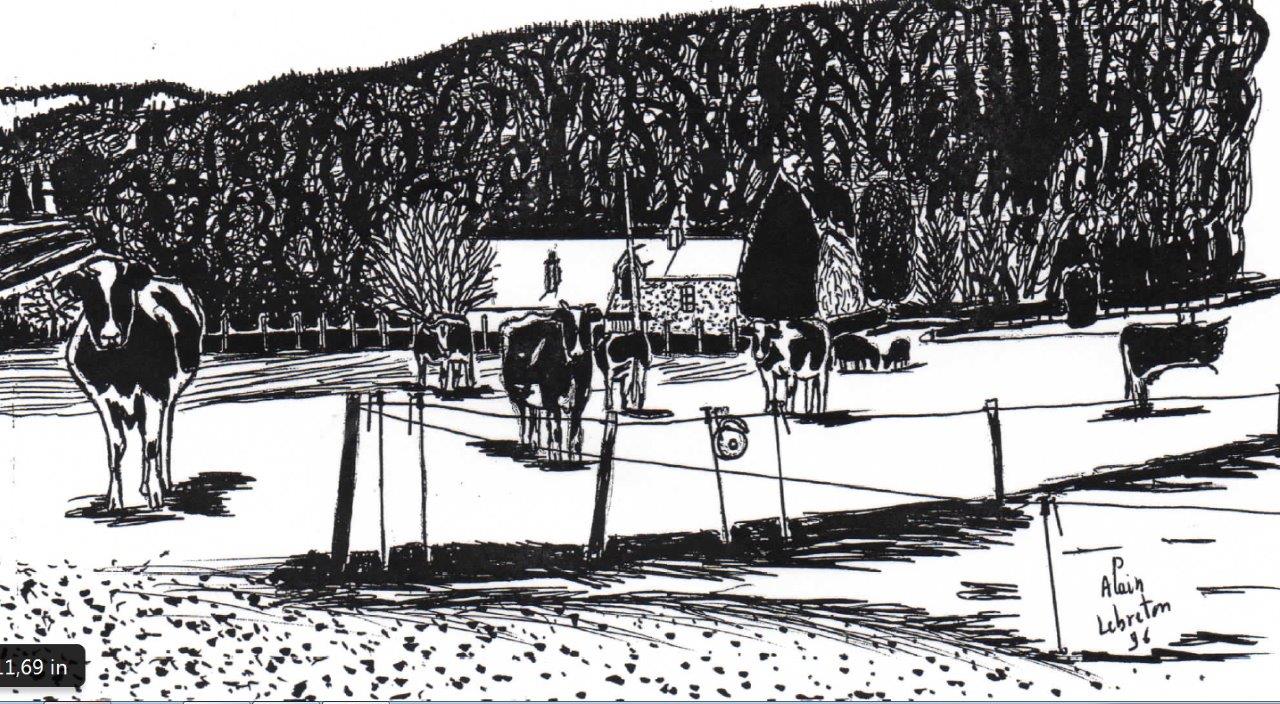 La Borde Pléchâtel  1996 vaches paumery