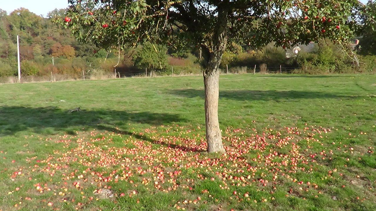 Plechatel la borde photo 2