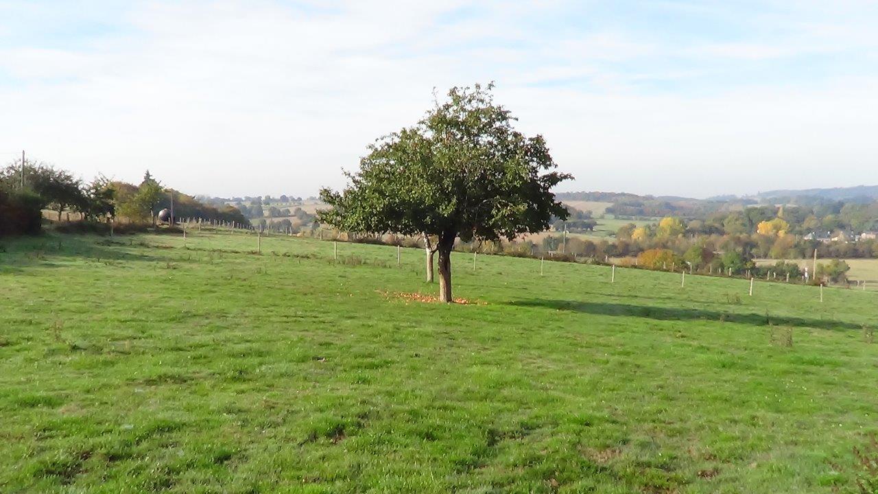 Plechatel la borde photo 3